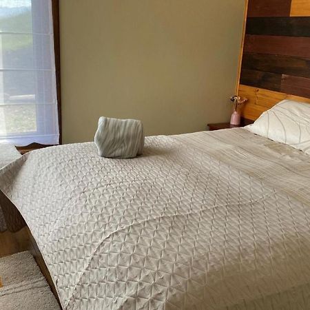 Población Lago Ranco Cabanas Las Terrazas De Iculpe מראה חיצוני תמונה